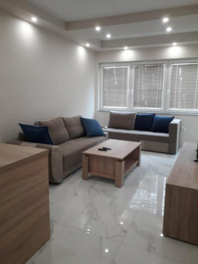 Luxury Apartment TINE